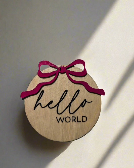 Hello world baby announcement disc