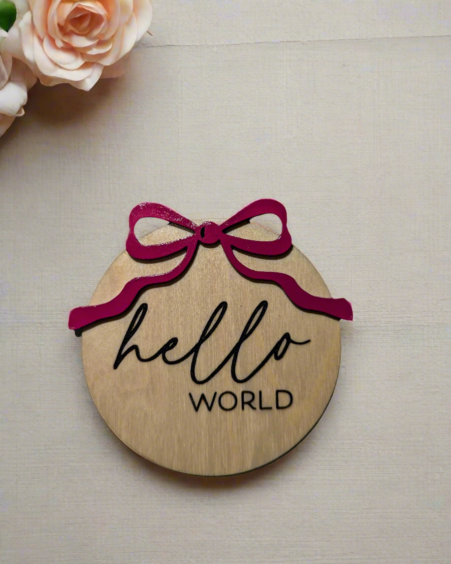 Hello world baby announcement disc